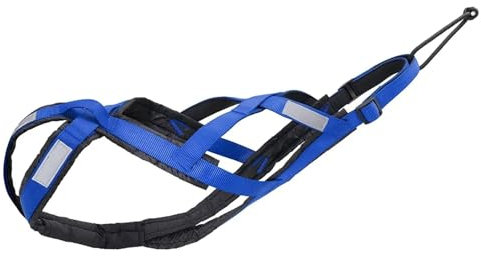 Schlittenhundegeschirr Skijöring Hund Scootering Ziehen Gewicht Husky Harness Canicross for Mushing Schlitten Haustier Schlittenhunde Zurück Große(Blue,XL)