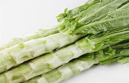 1000 USDA Certified Organic Chinese Stem Lettuce Seeds Celtuce Seeds, Produce of USA, Non-GMO, 莴笋