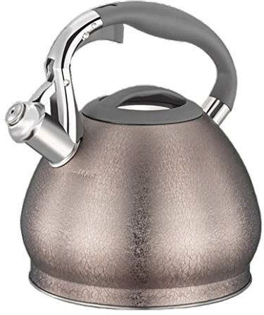 Hervidor de Agua Gas Hervidor Silbante De Acero Inoxidable 3L Caldera De Agua Caliente Hervidor Cocina Estufa Tetera Tetera Hervidor de Agua Retro