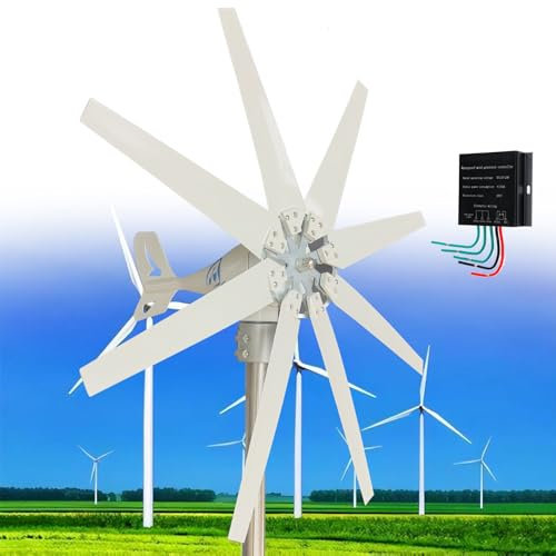 Fablestoryem Generador de Turbina Eólica, 12V/24V/48V/110V/220V 14000W Aerogenerador Horizontal, 8 Cuchillas, Velocidad Nominal 13m/s, con Controlador de Carga MPPT para Hogar, Chalets,220V