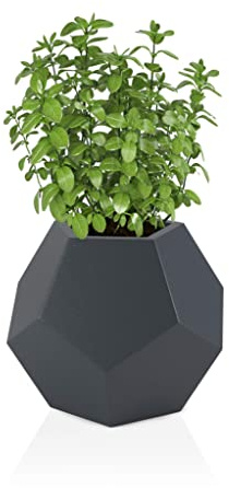 FORVEGA - Alma Topf, Höhe 53 cm, Lochdurchmesser 31,5 cm, modernes Design, langlebig und solide, für Haus und öffentlichen Raum, Gartendekoration, polnisches Produkt, anthrazit