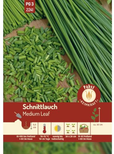 Pabst Keimkraft - Schnittlauch mehrjährig & mittelröhrig Medium Leaf Samen - 172241