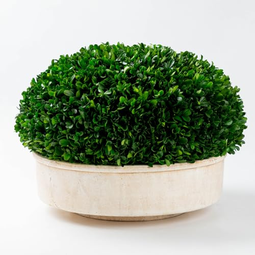 Preserved Boxwood Topiary Lush Boxwood Large Bowl Topiary for Bedroom Office Cubicle Shelf Decor Window Plant Shelf Decoration Dorm Kitchen Luxury Home Decor Accent(Terracotta Pot, 17 inch)