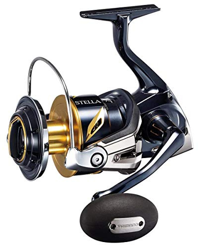 Reel Star SW C 10000 PG