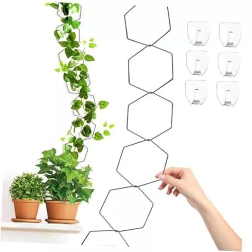 FUANA Plantes grimpantes hexagonales en treillis - 18 pièces - Philodendron - Lierre - Hoya - Résistant aux intempéries - Finition mate