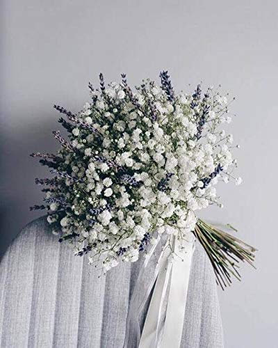 Factoría flor Paniculata con lavanda morada
