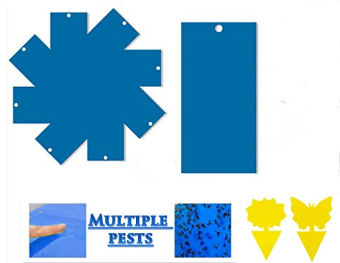 56 Piezas de Trampas para Insectos Trampas Adhesivas de Doble Cara para Thrips, Moscas, pulgones, mineros de Hojas, polillas etc (20 X 15CM Se Incluyen ataduras de Cables)