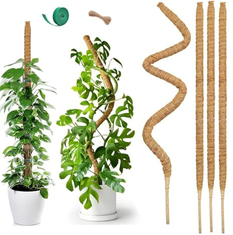60 cm x 4 Pièces Tuteur en Mousse de Coco Flexible | Tuteur Naturel pour Plantes Jeunes Monstera, Hoya | Noyau Aluminium Anti-Rouille + Accessoires