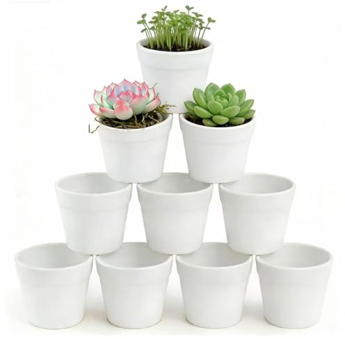 HongChelle Lot de 10 petits pots de fleurs blancs - En plastique incassable - Idéal pour cactus, plantes succulentes, fleurs, herbes (diamètre 7 cm x hauteur 6 cm)