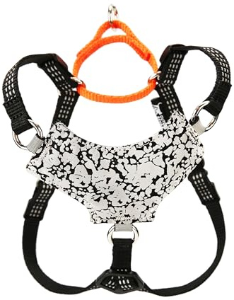 OutdoorBengal Always On Leichtes Katzengeschirr und Leine, ausbruchsicheres Set – Weste für ganztägige Kätzchen-Abenteuer – erwachsene Katzen – Katzenleine und Geschirr ausbruchsicher + Leine (schwarz