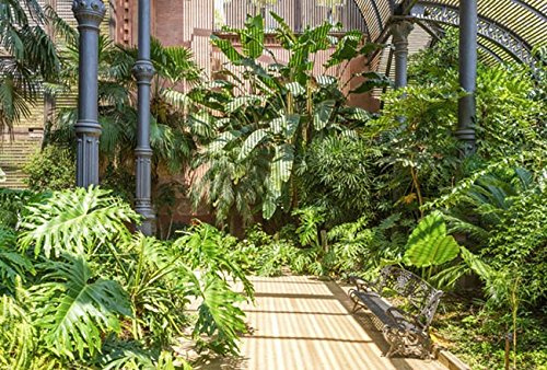Scenolia Panoramic wallpaper trompe l'oeil GARDEN BARCELONA Decor, Woven Paper, 4 m x 2,7 m