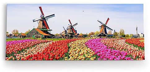 Paul Sinus Wandbild 120x50cm Holland Niederlande Windmühlen bunte Tulpen Blumenfeld