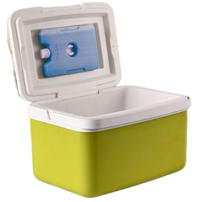 Bollisate Boîte à déjeuner isotherme, anti-fuite avec poignée, grand récipient thermique pour boissons, snacks, pique-nique, plage, voyage, camping, barbecue