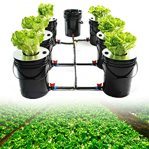 Eieblek Kit de culture hydroponique - Système hydroponique - 20 l x 7 compartiments - Système hydroponique pour cultures - Légumes et herbes