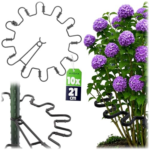 KADAX Perennhållare, rund Ø 21 cm i set om 10, växthållare av plast, växtstöd, perennstöd för hortensior och pioner, hortensiahållare, växtring (svart)