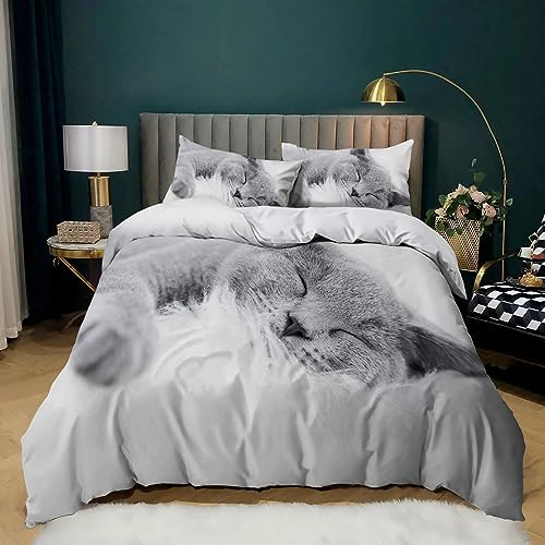 XCQHZYQ Bettwäsche-Sets 200x200 cm Graue Katze, Erwachsene Teenager Microfaser Bettbezug Deckenbezug, Bettwäsche Set mit Reißverschluss und 2 Kissenbezug 80x80 cm