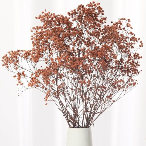 Babys Breath Dried Flowers Bouquet-17'' 1800+ Ivory Dry Flowers, Natural Gypsophila Branches for Wedding, Home Table Vase Decor, DIY Wreath Floral, Fall Thanksgiving Autumn Decoration (Brown, 2oz)
