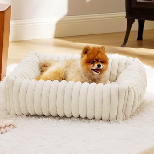 Panier Chien Orthopedique, Lit pour Chien Dehoussable Lavable, Panier pour Chat, Tissu Peluche Doux, Base Antidérapante, Tapis Matelas Lit Anti-Stress (Blanc,50x48x15cm)