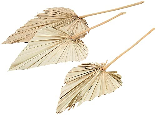 matches21 Palmspeere Naturdeko Bastelmaterial Gestecke Herbst Winter getrocknet Natur 1 Bund a 5 STK 20x25x60 cm
