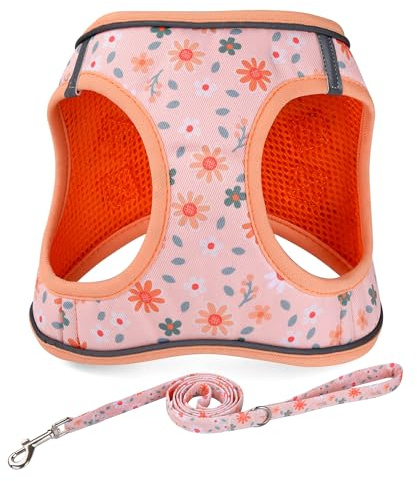 Mihqy Hundegeschirr Kleine Hunde mit Leine, Step-in Geschirr aus Air Mesh, Anti Zug Reflektierend Atmungsaktiv Brustgeschirr, Welpengeschirr für kleine mittelgroße Hunde(Orange Floral-L)