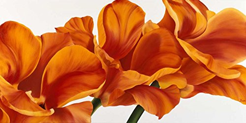 Feeling at home KUNSTDRUCK auf MATTE PAPIER 220gr Fantastische Blume II Poelstra-Holzhaus Yvonne - europäisch horizontal Poster Tulpen Long Red Orange Modern Bild auf Papier cm_51_X_104
