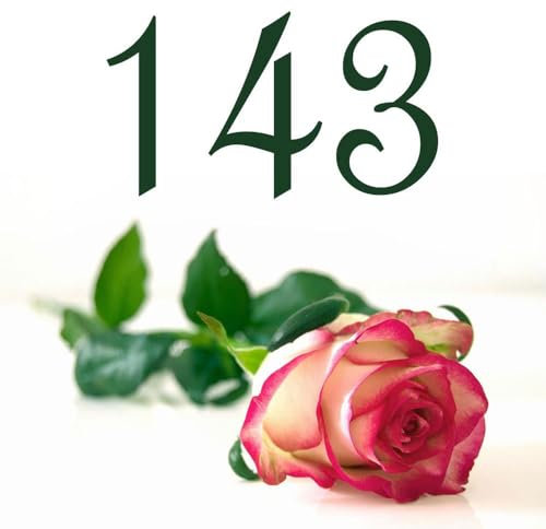 Segnale stradale con numero civico e/o testo personalizzabile – 10 x 10, 15 x 15 o 20 x 20 cm piastrelle in terracotta