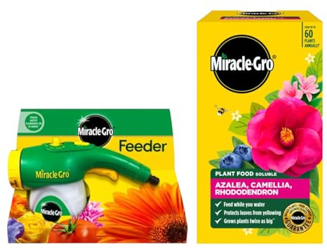 Miracle-Gro Feeder Hose-End Dispenser with Azalea Camellia Rhododendron Soluble Plant Food 1kg Feed While Watering Ericaceous Fertiliser for Acid Loving Plants Greener Leaves Bigger Blooms Use