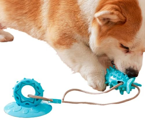 Hundezahnbürste Kauspielzeug, Saugnapf Hundespielzeug, Zahnreinigungsball Zubehör, Interaktives Saugnapf Hund Zerrspielzeug | Hund Kauspielzeug Hund Zerrspielzeug für Welpen, große und mittelgroße