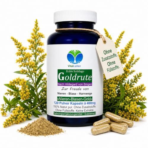 Echte GOLDRUTE Solidago 120 KRÄUTER Kapseln [OHNE ZUSATZSTOFFE] zur FREUDE von NIEREN - BLASE - HARNWEGE [NATUR pur] 26935-120 | NATUR pur. NATÜRLICHE Kräuterroutine für die empfindliche Blase. Nicht aus EXTRAKT. OHNE ZUSATZSTOFFE 26935-120