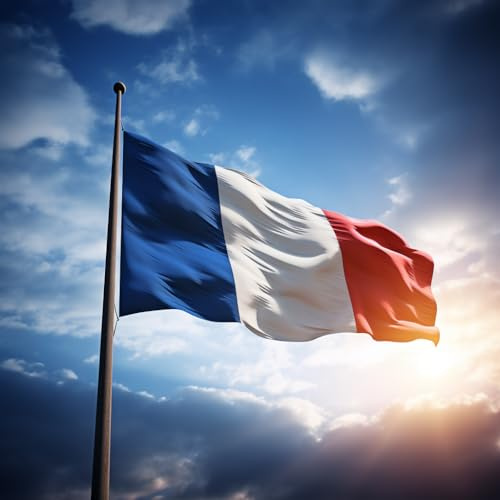 Grand drapeau de la France pour extérieur 225 x 150 cm, avec 2 œillets métalliques (France)