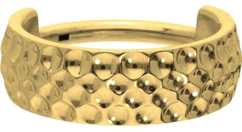 PIERCINGLINE Segmentring Clicker aus Titan - Piercing für Ohr, Helix oder Conch