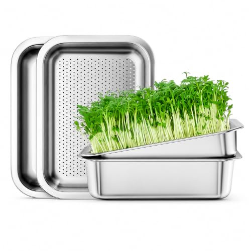 Magicbox 2er Set Edelstahl Sprossen Anzuchtset, 26 x 19 cm Keimschalen Set für Sprossen und Microgreens, 2-in-1 Anzuchtschale mit Doppelter Größe, Rostfreier Edelstahl, Spülmaschinenfest