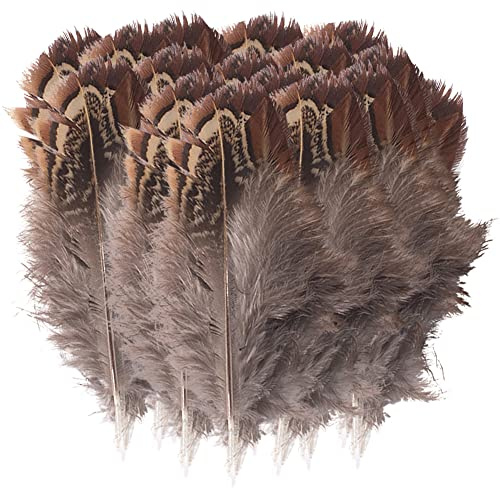 BakerMiche Truthahn Federn, Natur Federn zum Basteln Deko Bastelfeder 5-8cm Länge Truthahn Schwanzfedern Hutfeder für Kostüme basteln Zuhause Dekor DIY