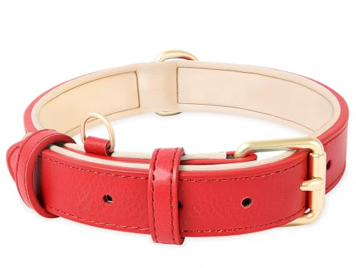 HEELE Hundehalsband Leder Hundehalsband mit gepolstert und echtes Leder, Verstellbar, Halsband für Welpen Kleine Mittel Große Hunde, Neu-Rot, L | Hunde Halsband Echtes Leder, Halsband für Welpen Kleine Mittel Große Hunde