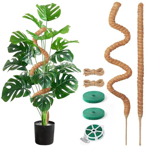 Aulese Rankhilfe Monstera, 2 x 75cm Moosstab für Monstera mit Zubehör, Pflanzenstütze Zimmerpflanzen, Pflanze Unterstützung für Kletterpflanzen im Innenbereich
