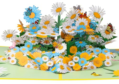 Magic Ants Daisy Pop Up Karte für Muttertag, Frühling, Geburtstag, Thinking of You, Congrats oder jeden Anlass - Handgefertigte 3D-Grußkarte mit Umschlag