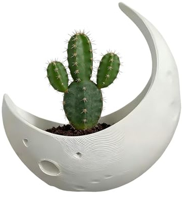 Macetero de pared de luna, maceta decorativa de tamaño mediano con diseño moderno, con material resistente, para colgar, aspecto elegante, planta para el hogar