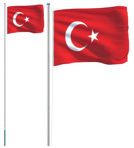 vidaXL Asta e Bandiera Turchia 6,23 m Alluminio