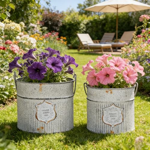 Vintage Metal Flower Planter Buckets with Handle Set of 2 Rustic Metal Flower Pots Farmhouse Plant Containers for Herb Succulent, Indoor Outdoor Garden Home Yard Bathroom Kitchen Decor (Gray#2)