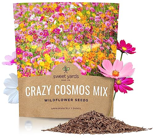 Cosmos Seeds Wildflower Mixture - Bulk 1 Ounce Packet - Over 5,000 Seeds - Pink, Yellow, Orange, Red, Purple and White Mixed Species!
