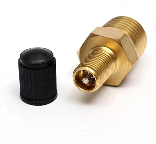 Valve de Réservoir en Laiton pour Compresseur d'Air - Valve de Noyau Standard avec Bouchons d'Étanchéité - Robuste et Polyvalente (1/4 NPT)