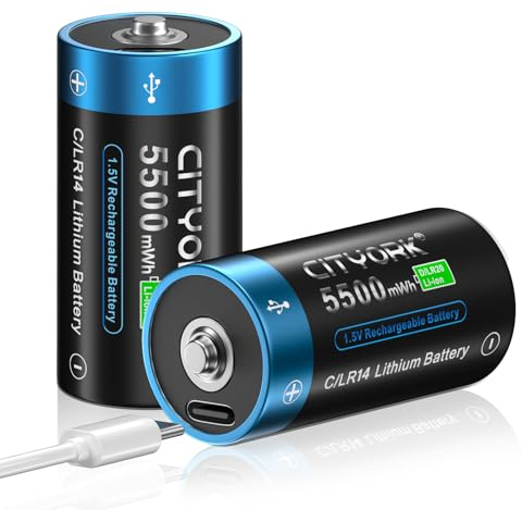 CITYORK Batterie C ricaricabili con caricatore USB-C, agli ioni di litio 1,5 V 5500 mWh, ricarica in meno di 2 ore, oltre 1000 cicli, con cavo di ricarica USB-C, indicatore di ricarica LED