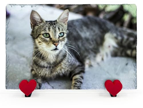 Plaque Commémorative Personnalisée Pour Animal De Compagnie Chat Chien Ardoise Pierre Naturelle Cadre Patte Pierre Tombale Avec Support Cœur - Impression Complète - Rectangle Horizontale |20 x 30 cm|