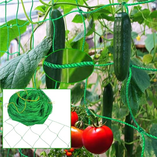Ranknetz, Pflanzennetz Grün, Rankhilfen für Kletterpflanzen, Pflanzenstütznetz mit Großer Maschenweite, Plant Climbing Net für Kletterpflanzen, Gurken, Tomaten, Bohnen - Garten, Gewächshaus (2x5m)