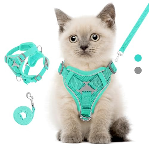 VavoPaw Arnés para Mascotas y Correa para Pasear, Arnés Ajustable Cómodo Antitirones para Perro con Malla Transpirable, Tira Reflectante, Chaleco de Seguridad para Gatos Cachorros, S, Azul