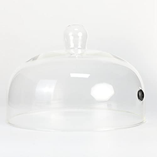 GYQZC Pistola affumicare Cloche a Cupola Fumante per Piatti, Ciotole Cupola in Vetro Trasparente Infusore per Fumatori Coperchi Accessorio per Infusione di Fumo (Color : 28 * 19.5cm)