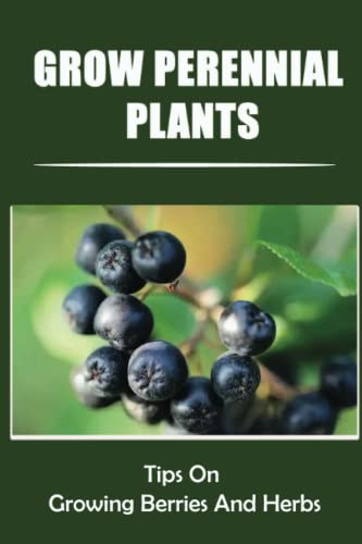 Grow Perennial Plants: Tips On Growing Berries And Herbs