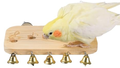 Sitzstangen Für Wellensittiche,Holzsitzstange Spielzeug Für Papageien Und Vögel | Spielplatz Für Finken Nymphensittiche Chinchillas Unzertrennliche Kleintiere Innenbereich Balkon Garten
