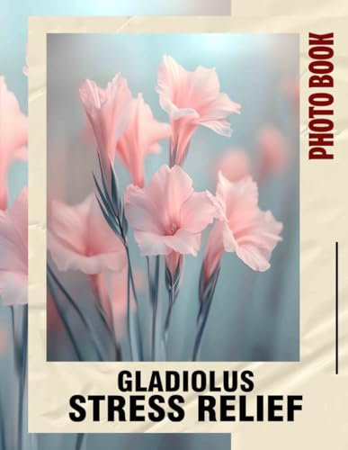 Gladiolus Stress Relief
