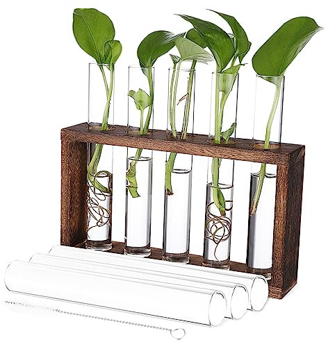 Happyyami Holzgestell Mit Glasröhrchen Für Pflanzenanzucht Hydrokultur-pflanzbehälter Mit Reinigungsbürste Wandbehang Aus Glas Und Holz Für Anzucht Und Stecklinge Tischterrarium Für Wohnzimm